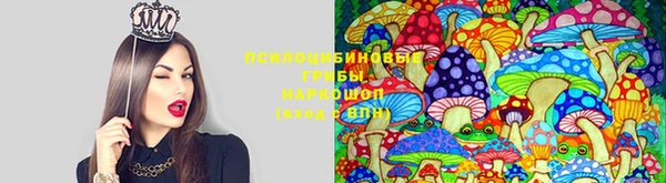 кокаин премиум Ветлуга