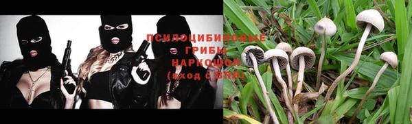 таблы Няндома
